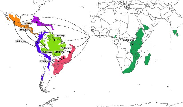 Image from article 2